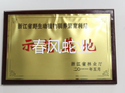 榮譽(yù)資質(zhì)