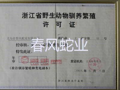 榮譽(yù)資質(zhì)